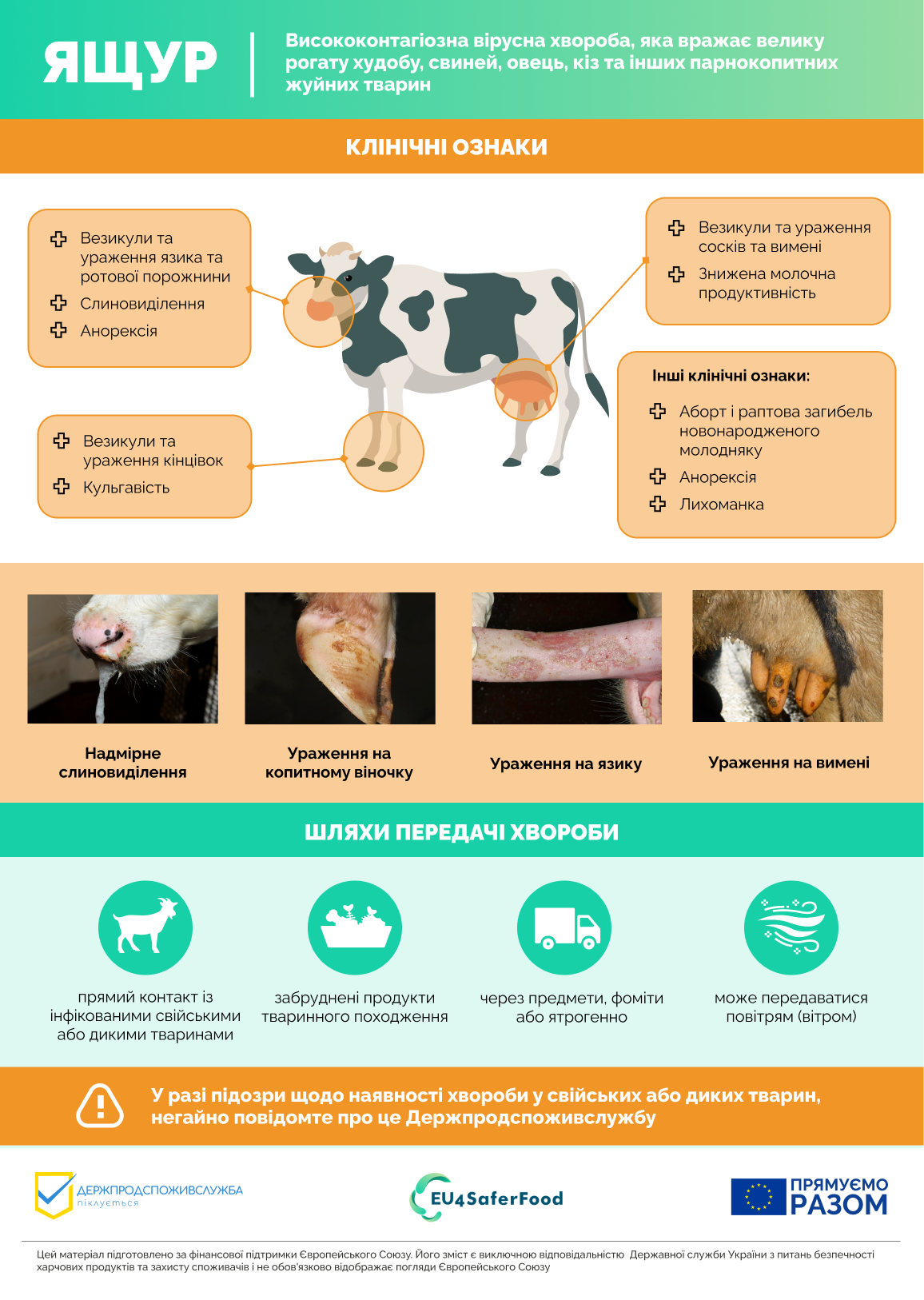 veterinarifinal 1